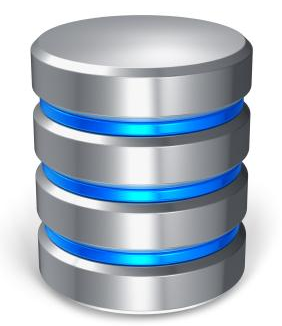 oracle database section